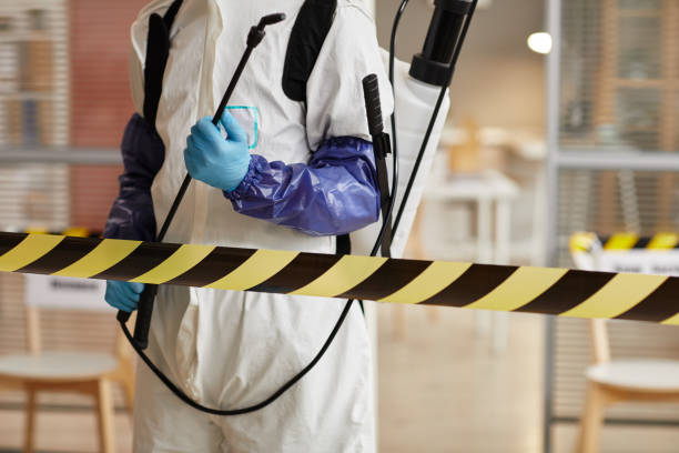 Professional Hoarding Cleanup technician working in Hemet, CA